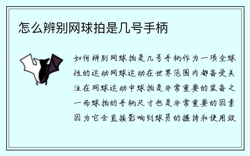 怎么辨别网球拍是几号手柄