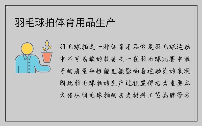 羽毛球拍体育用品生产