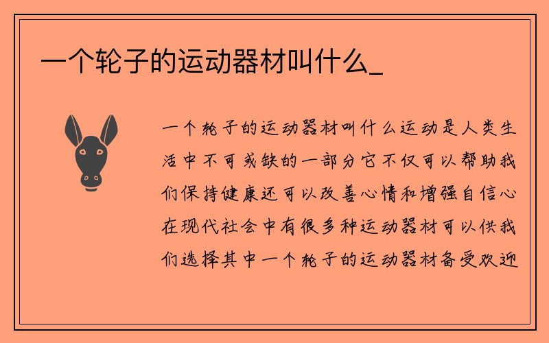 一个轮子的运动器材叫什么_