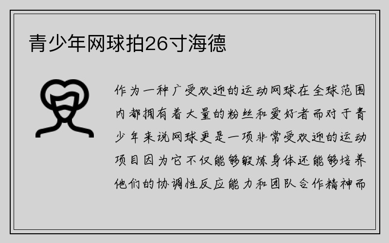 青少年网球拍26寸海德