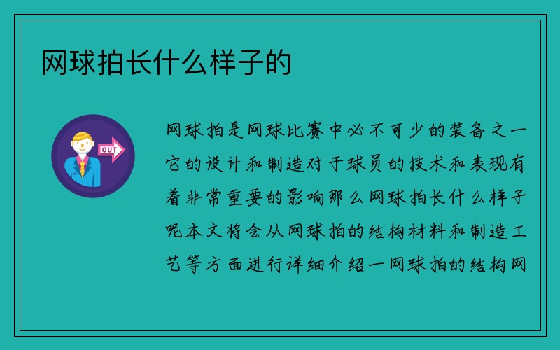 网球拍长什么样子的